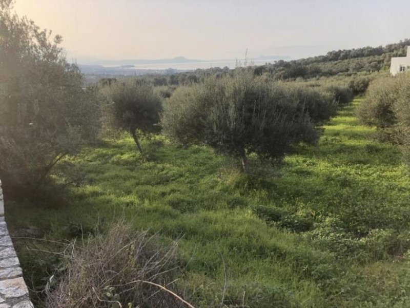 Adelebsen Kreta, Adele: Grundstück mit Meerblick zu verkaufen Grundstück kaufen